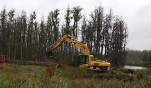 Excavating, Site Clearing in Tampla FL from TNT Environmental